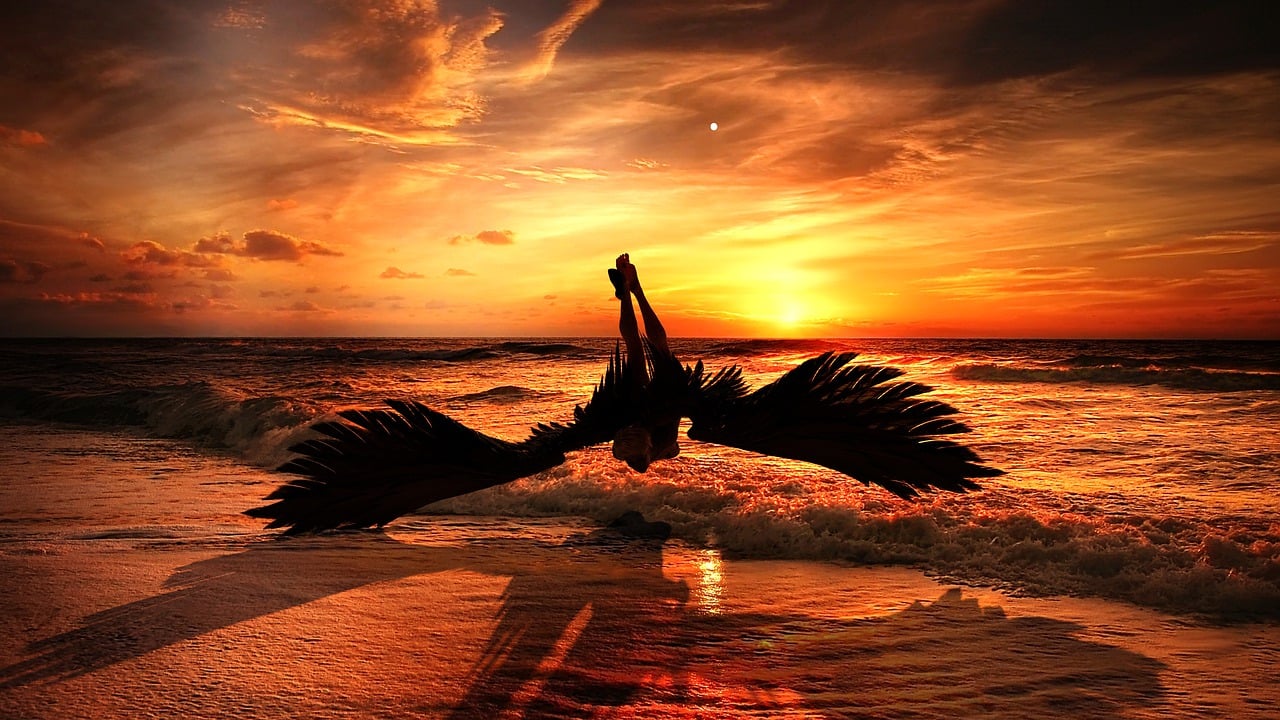 Les différentes écoles de tarot : Atelier d'exploration