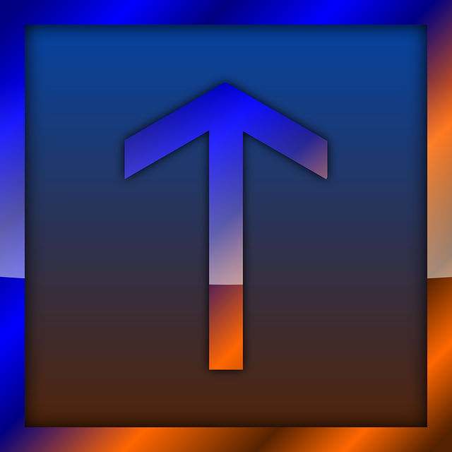 Les vertus de la gratitude pour votre épanouissement intérieur