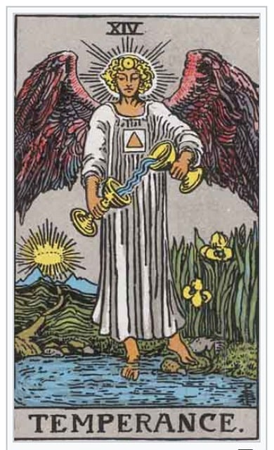 Comprendre les cycles de vie pour une évolution spirituelle