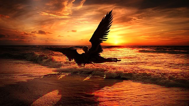 La compassion comme clé de votre épanouissement spirituel