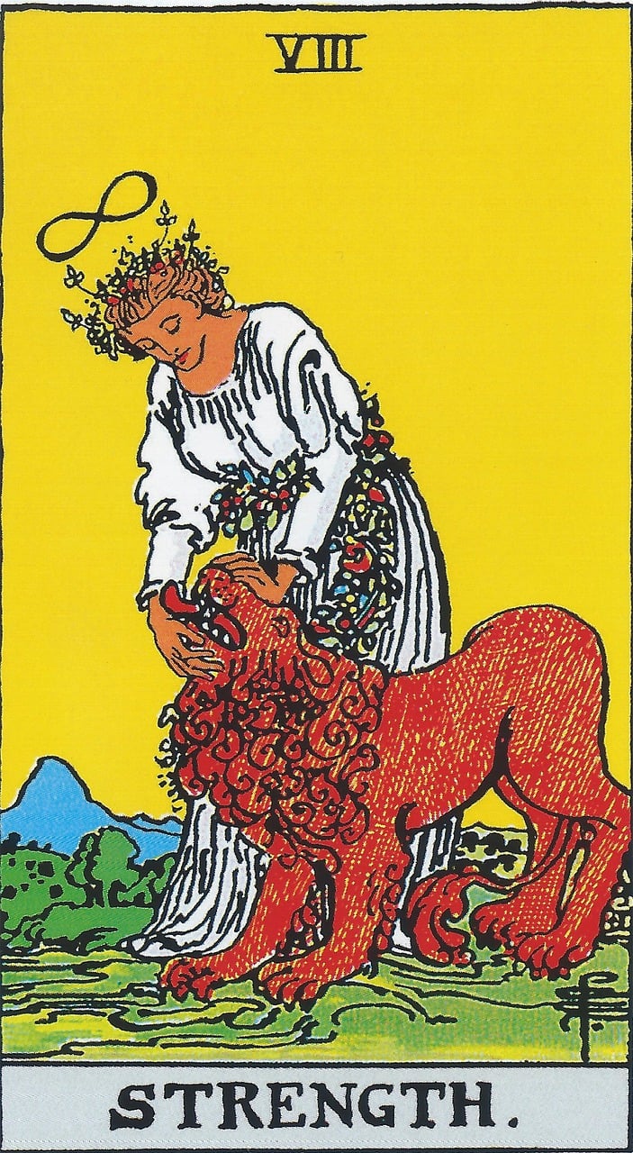 La sagesse des cartes : mon récit d'expérience